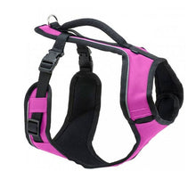 Load image into Gallery viewer, EasySport™ Harness
