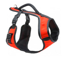 Load image into Gallery viewer, EasySport™ Harness
