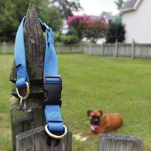 KeepSafe Collar 1" (Extra Large, Red)