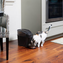 Load image into Gallery viewer, Healthy Pet Simply Feed™ Programmable Digital Pet Feeder
