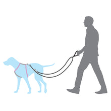 Load image into Gallery viewer, Anti-Pull Dog Lead
