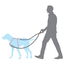 Load image into Gallery viewer, Anti-Pull Dog Lead
