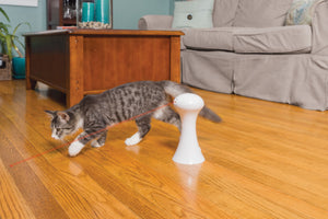 Multi-Laser Toy