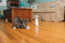 Load image into Gallery viewer, BOLT™ Automatic Laser Light

