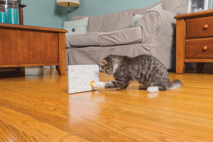 FroliCat® CHEESE™ Automatic Cat Teaser
