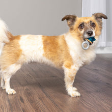 Load image into Gallery viewer, Jewel Pop Treat Ring Holding Dog Toy

