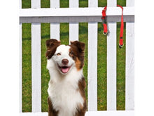 Load image into Gallery viewer, KeepSafe Break-Away Collar
