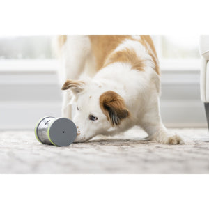 Kibble Chase™ Roaming Treat Dispenser