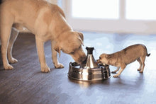 Load image into Gallery viewer, Drinkwell® 360 Stainless Steel Pet Fountain
