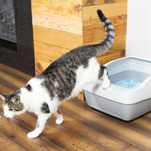 Load image into Gallery viewer, Deluxe Crystal Litter Box System
