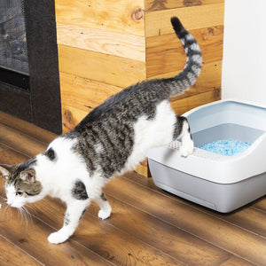 Deluxe Crystal Litter Box System