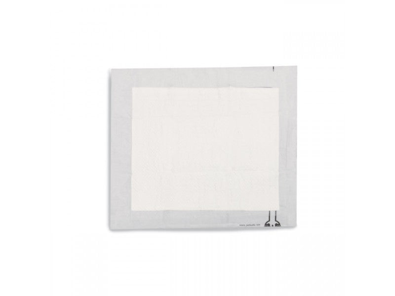 Train 'n Praise Moisture Detection Pee Pad