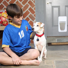 Load image into Gallery viewer, Electronic SmartKey™ Collar Key
