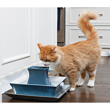 Load image into Gallery viewer, Drinkwell® Pagoda Pet Fountain
