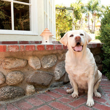 Load image into Gallery viewer, Deluxe Outdoor Bark Control
