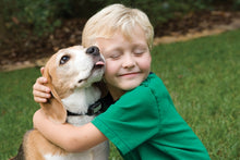 Load image into Gallery viewer, Little Dog Deluxe Anti-Bark Collar
