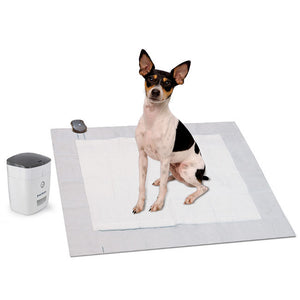 Train 'n Praise Potty Training System