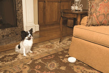 Load image into Gallery viewer, Pawz Away Extra Receiver Collar
