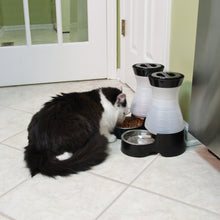 Load image into Gallery viewer, Healthy Pet Water Filter™ Replacement Filters (2-Pack)
