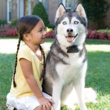 Load image into Gallery viewer, Stubborn Dog In-Ground Fence™ System
