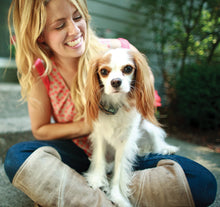 Load image into Gallery viewer, Little Dog Deluxe In-Ground Fence™ System
