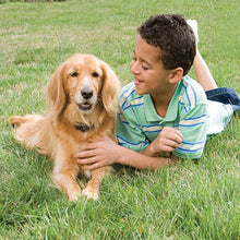 Load image into Gallery viewer, Ultralight™ Add-A-Dog® Extra Receiver Collar
