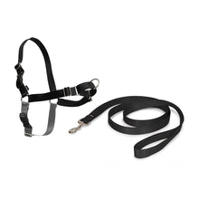 Load image into Gallery viewer, Easy Walk® Harness
