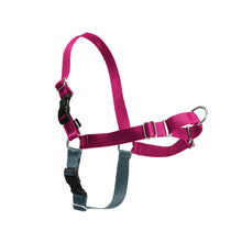 Load image into Gallery viewer, Easy Walk® Harness
