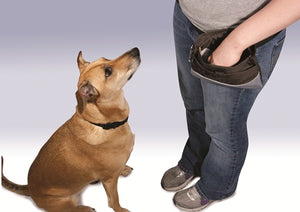 Treat Pouch Sport