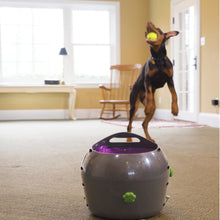 Load image into Gallery viewer, Automatic Ball Launcher
