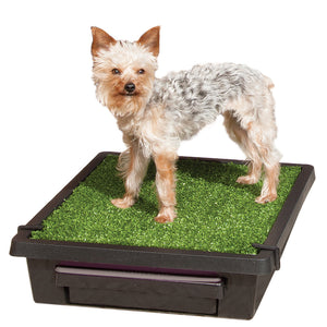 Pet Loo Portable Pet Toilet