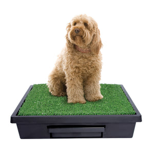 Pet Loo Portable Pet Toilet