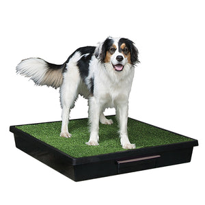 Pet Loo Portable Pet Toilet