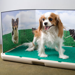 Piddle Place Pet Potty Protective Guard