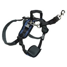 Load image into Gallery viewer, CareLift™ Rear Support Harness
