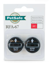 Load image into Gallery viewer, 6 Volt Lithium Battery (2-Pack)
