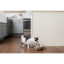 Load image into Gallery viewer, Seaside Stainless Steel Pet Fountain
