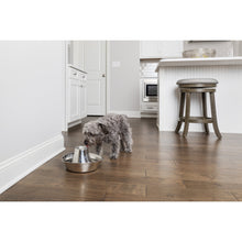 Load image into Gallery viewer, Seaside Stainless Steel Pet Fountain
