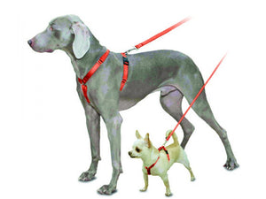 Sure-Fit Harness