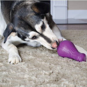 Busy Buddy™ Squeak 'n Treat Booya