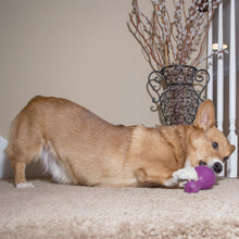 Load image into Gallery viewer, Busy Buddy™ Squeak &#39;n Treat Booya
