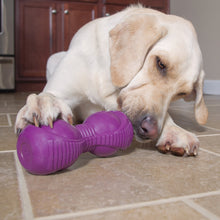 Load image into Gallery viewer, Busy Buddy™ Squeak &#39;n Treat Ooga
