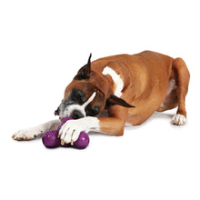 Load image into Gallery viewer, Busy Buddy™ Squeak &#39;n Treat Troog
