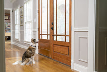 Load image into Gallery viewer, Spray Bark Collar
