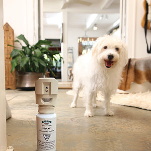 SSSCAT® Spray Deterrent