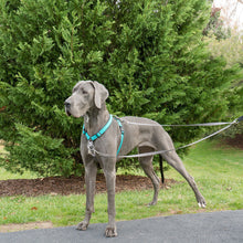 Load image into Gallery viewer, Anti-Pull Dog Lead
