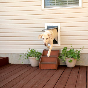 Wall Entry Pet Door