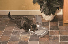 Load image into Gallery viewer, 2 Meal Pet Feeder
